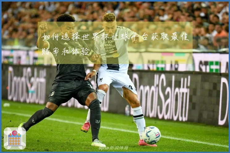 如何选择世界杯让球平台获取最佳赔率和体验