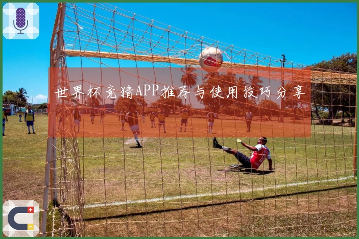 世界杯竞猜APP推荐与使用技巧分享
