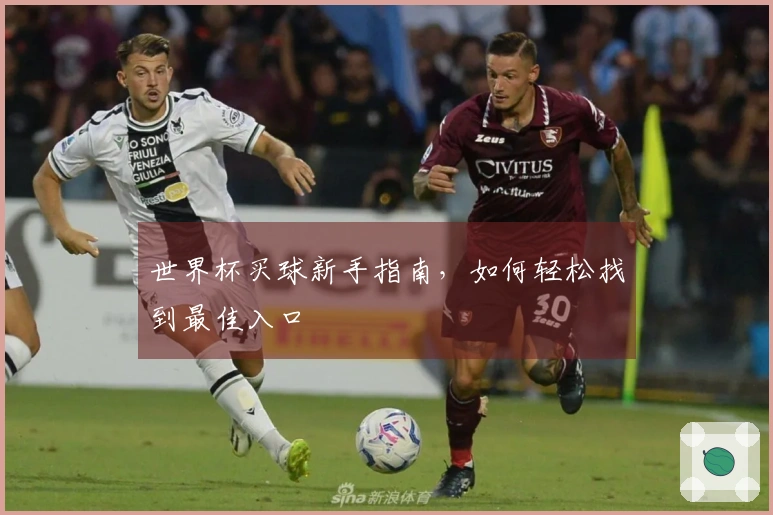 世界杯买球新手指南，如何轻松找到最佳入口