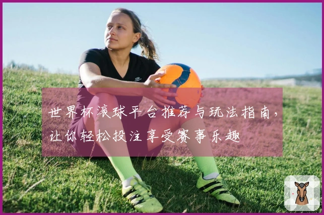 世界杯滚球平台推荐与玩法指南，让你轻松投注享受赛事乐趣